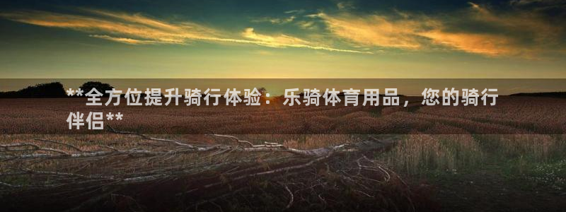 欧陆娱乐平台登陆地址是什么样的：**全方位提升骑行体