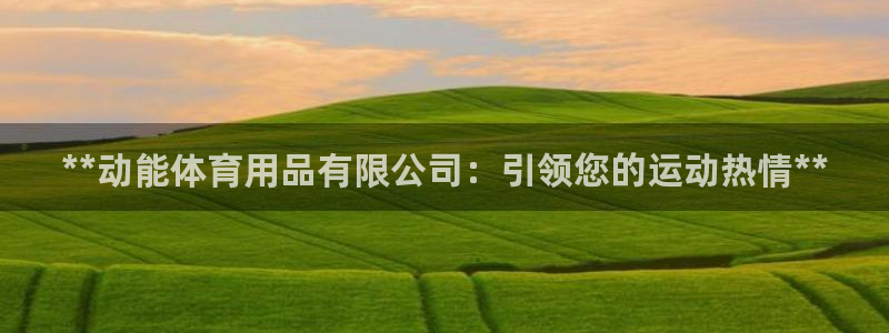欧陆娱乐登陆官网入口：**动能体育用品有限公司：引领