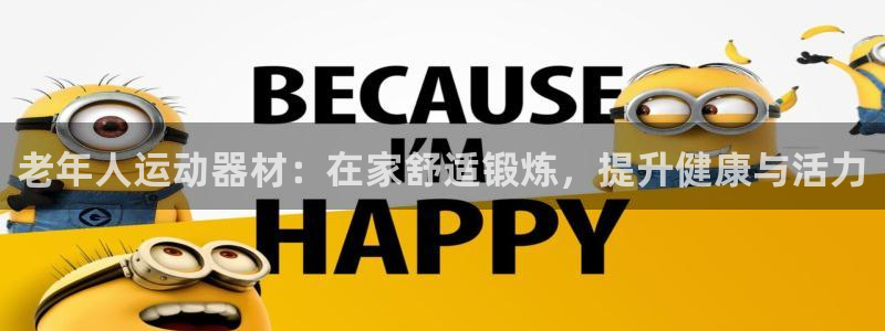 欧陆娱乐平台毕 (q—43314) 旨：老年人运动器