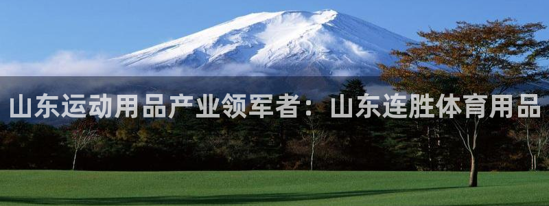欧陆娱乐登录测速网站：山东运动用品产业领军者：山东连