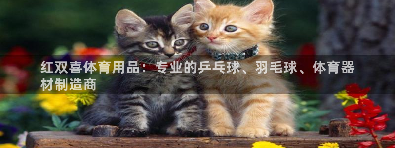 欧陆娱乐公司产品介绍大全