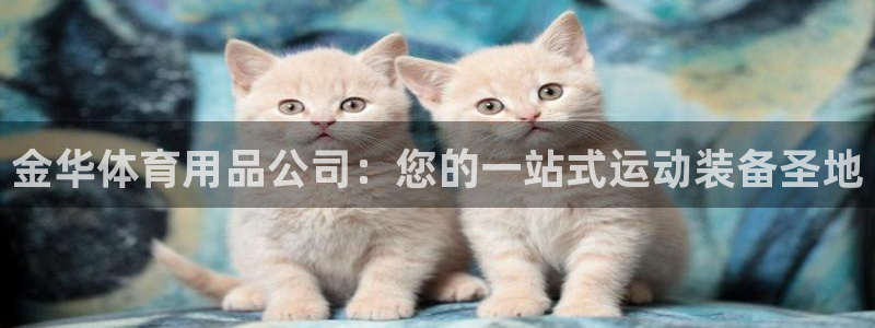 欧陆娱乐打什么方案赚钱：金华体育用品公司：您的一站式