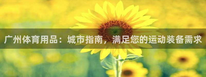 欧陆娱乐登录测速：广州体育用品：城市指南，满足您的运