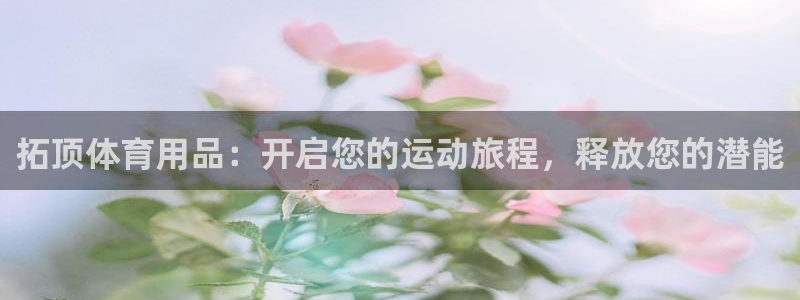 欧陆娱乐挂机怎么玩的：拓顶体育用品：开启您的运动旅程