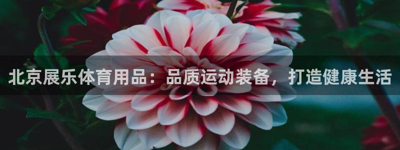 欧陆娱乐能不能玩：北京展乐体育用品：品质运动装备，打