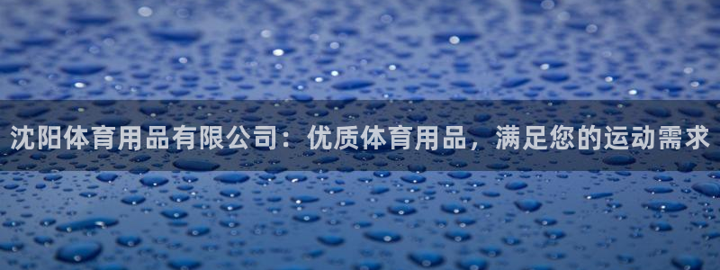 欧陆娱乐挂机怎么玩：沈阳体育用品有限公司：优质体育用