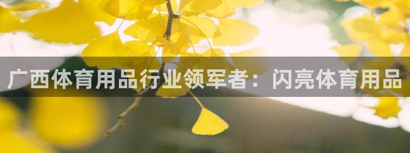 欧陆娱乐代理 贴吧：广西体育用品行业领军者：闪亮体育