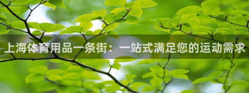 欧陆娱乐脚本怎么用：上海体育用品一条街：一站式满足您