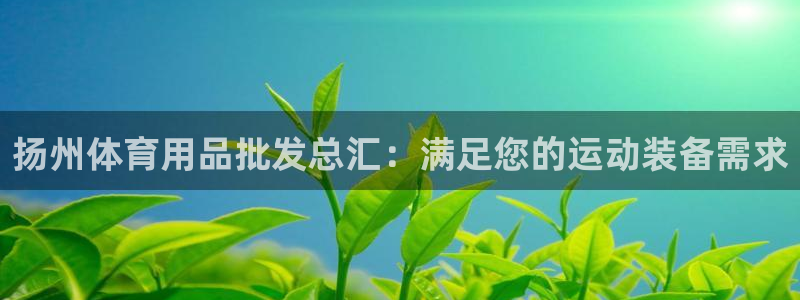 欧陆娱乐安全吗：扬州体育用品批发总汇：满足您的运动装