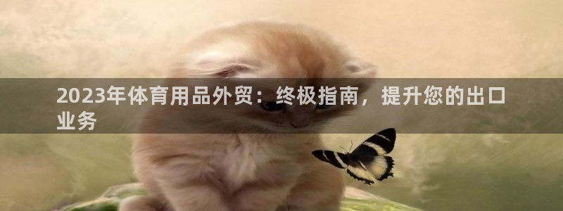 欧陆娱乐登陆官网：2023年体育用品外贸：终极指南，