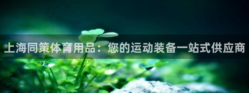 欧陆娱乐app攻略：上海同策体育用品：您的运动装备一