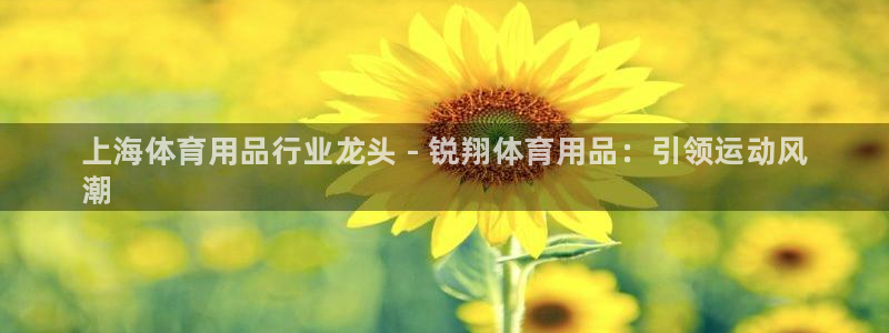 欧陆娱乐总代理：上海体育用品行业龙头 - 锐翔体育用