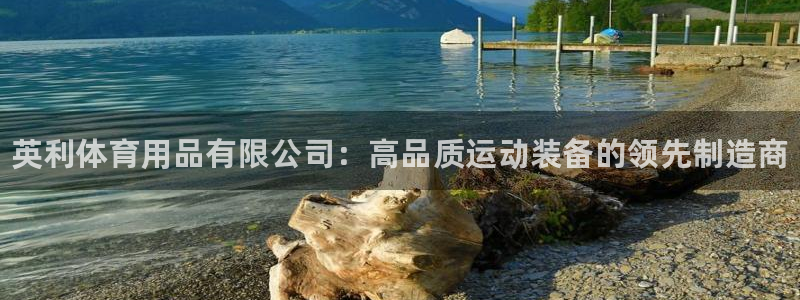 欧陆娱乐怎么注册账号登录：英利体育用品有限公司：高品