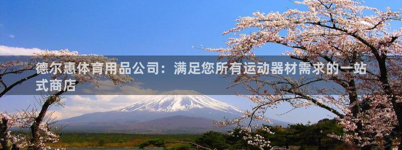 欧陆娱乐测试网站：德尔惠体育用品公司：满足您所有运动器材需求