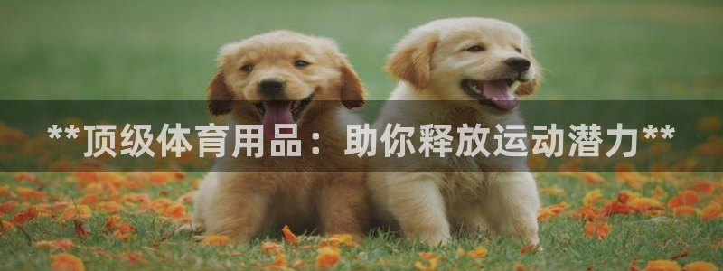 欧陆娱乐平台登录不上去了：**顶级体育用品：助你释放