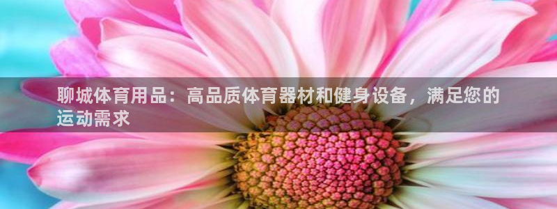 欧陆娱乐平台官网下载：聊城体育用品：高品质体育器材和
