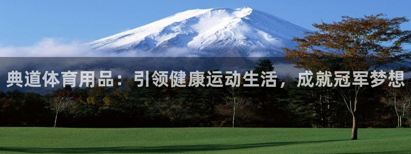 欧陆娱乐不让提现怎么办：典道体育用品：引领健康运动生