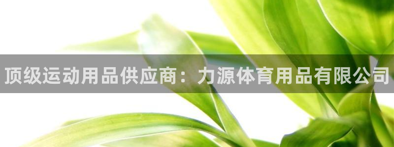 欧陆娱乐官网下载安装最新版本：顶级运动用品供应商：力