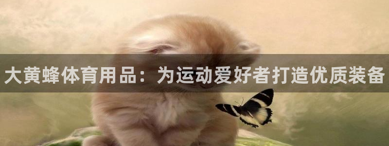 欧陆娱乐代理多少个点位啊：大黄蜂体育用品：为运动爱好者打造优