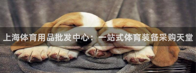 欧陆娱乐注册芯7o777ts=0：上海体育用品批发中