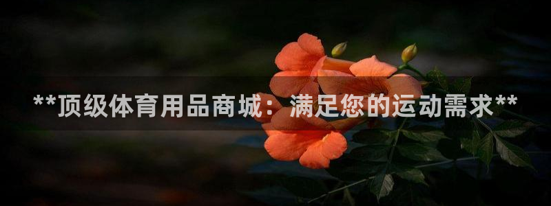 欧陆娱乐是正规平台吗安全吗知乎：**顶级体育用品商城