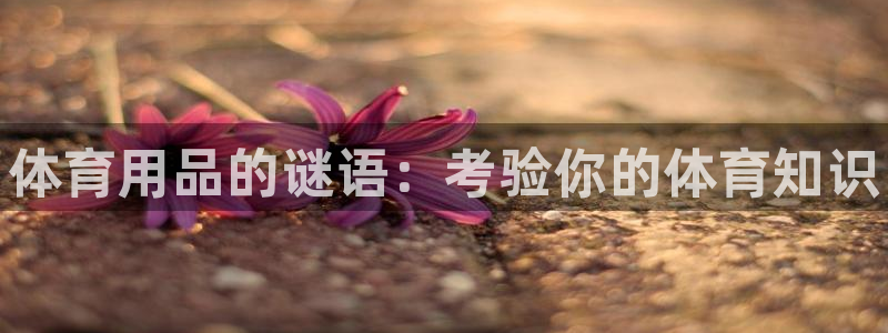 欧陆娱乐公司产品介绍怎么写：体育用品的谜语：考验你的