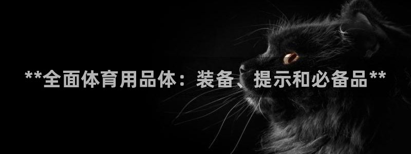 欧陆娱乐公司产品介绍图片：**全面体育用品体：装备、