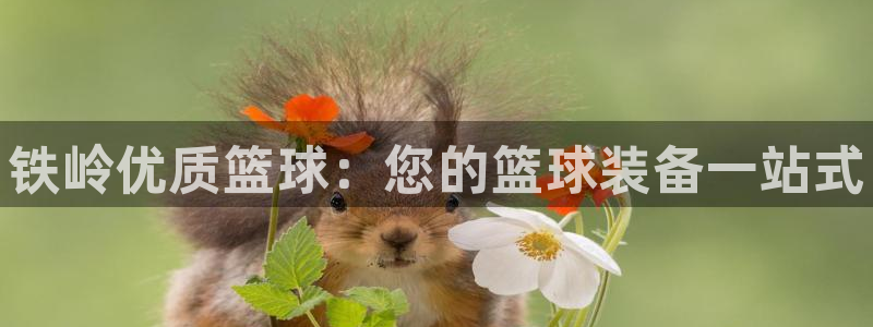 欧陆娱乐线路测速：铁岭优质篮球：您的篮球装备一站式