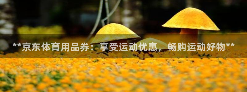 欧陆娱乐平台登陆地址是什么样的：**京东体育用品券：