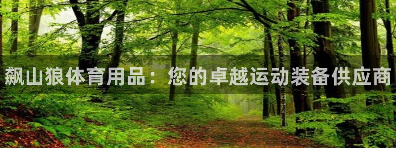 欧陆娱乐天富主管：飙山狼体育用品：您的卓越运动装备供