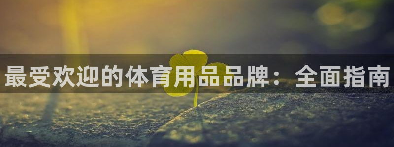 欧陆娱乐代理 贴吧：最受欢迎的体育用品品牌：全面指南