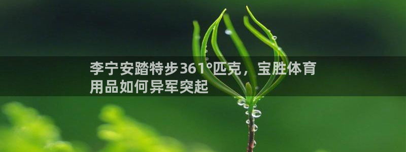 欧陆娱乐登陆平台：李宁安踏特步361°匹克，宝胜体育