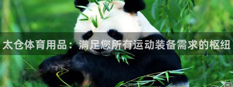 欧陆娱乐官网下载安装最新版苹果